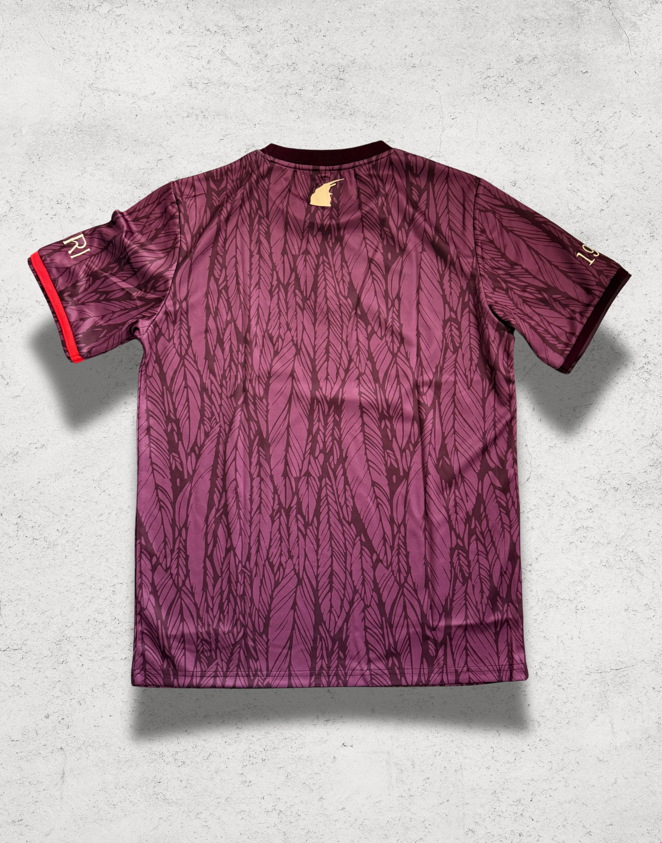 Albanian "Golden Eagle" Jersey in Burgundy